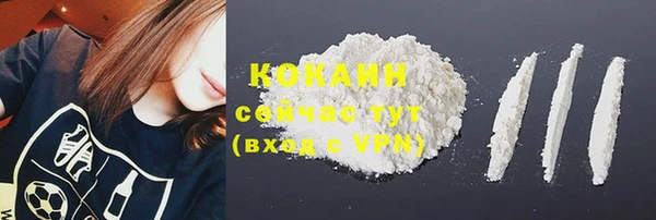 a pvp Абаза
