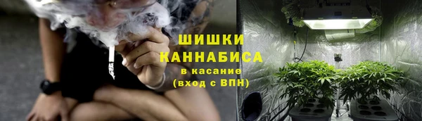 крисы Михайловск