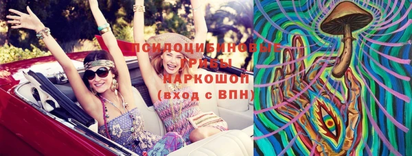 гашик Михайловка