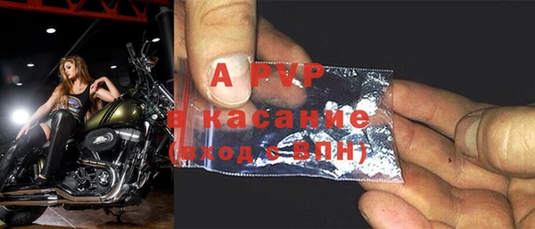 стаф Пестово