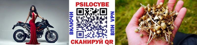 kraken ссылки  Отрадное  Псилоцибиновые грибы прущие грибы  закладка 